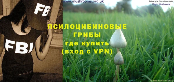 гидра Арсеньев