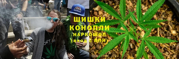 гидра Арсеньев