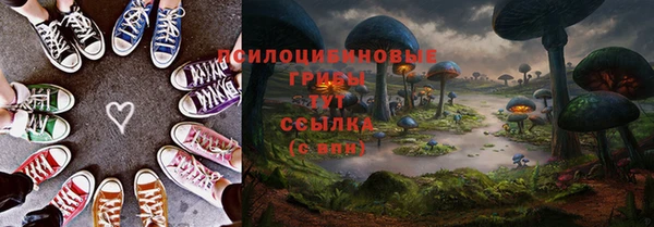 кокс Аркадак