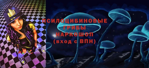 метадон Алексин