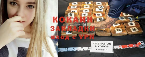 гидра Арсеньев