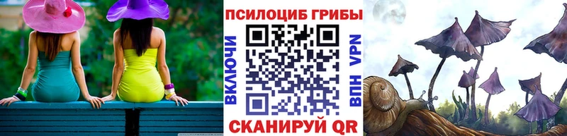 Купить где  Тутаев  Галлюциногенные грибы мухоморы 