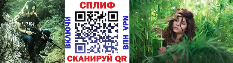 Купить где  Тутаев  Шишки марихуана Ganja 